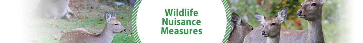 Wildlife Nuisance Measures