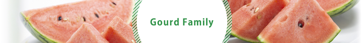 Gourd Family