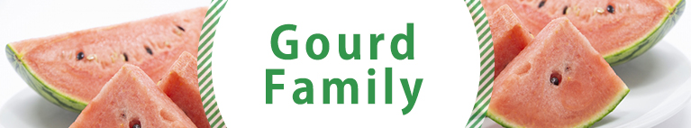 Gourd Family