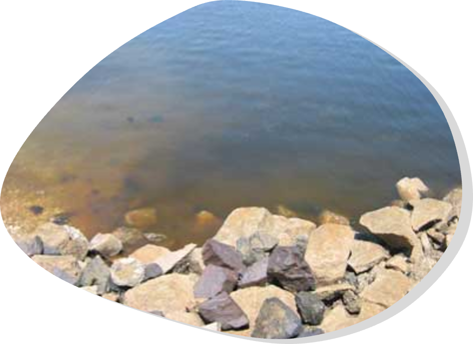Red tide