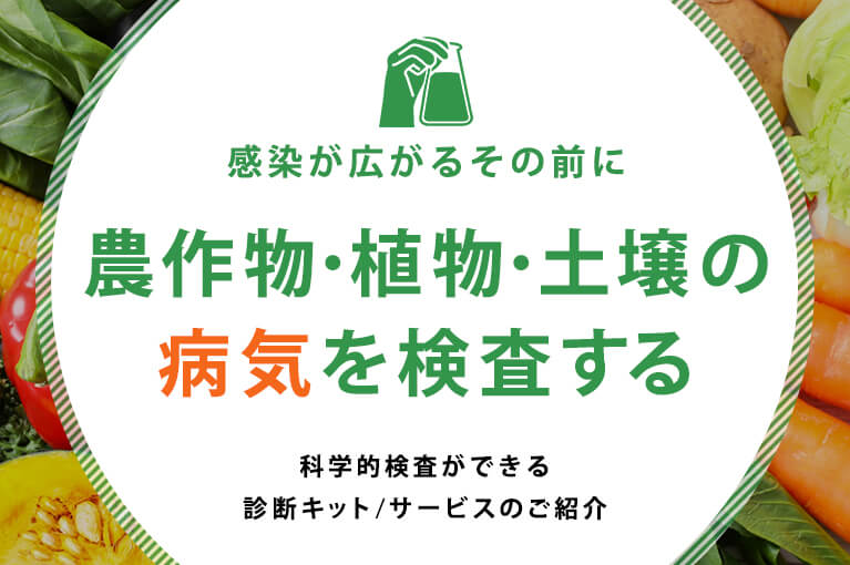 農作物 植物 土壌の病気を検査する Nippon Gene Co Ltd