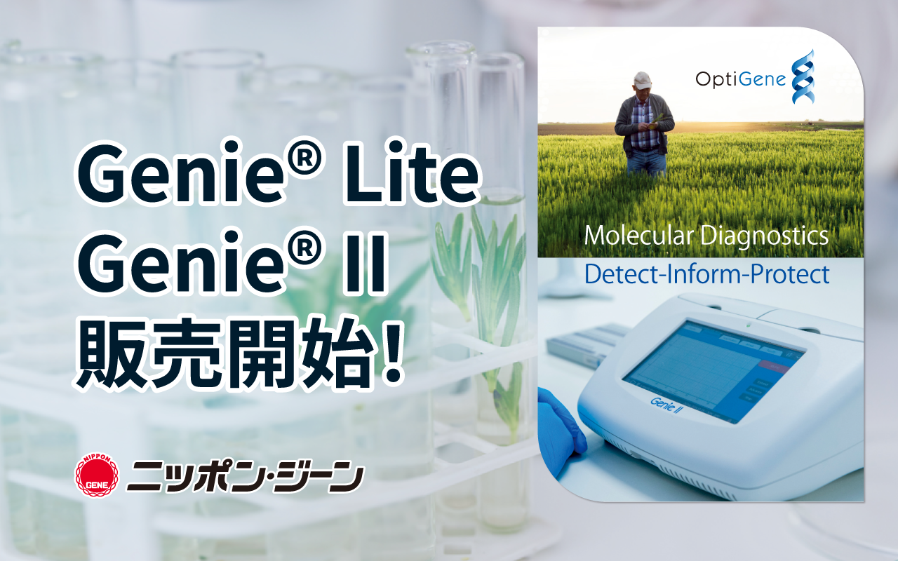 日本で販売開始！