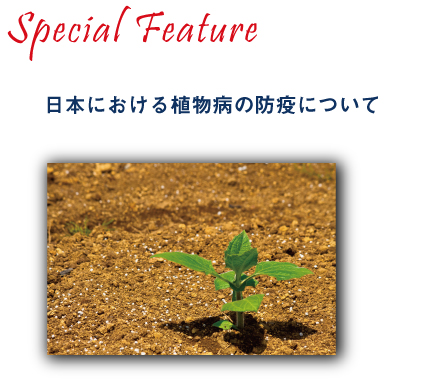 農作物 植物 土壌の病気を検査する Nippon Gene Co Ltd